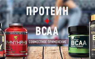 BCAA и протеин: вместе или по отдельности для достижения результатов