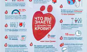 Польза донорства для организма человека и общества