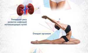 Полезна ли вода с лимоном для похудения и здоровья?