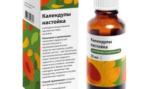 Настойка календулы: применяем правильно для здоровья