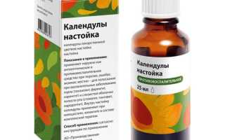Настойка календулы: применяем правильно для здоровья