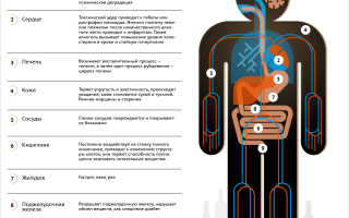 Как алкоголь влияет на иммунитет? Влияние на здоровье