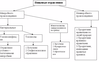 Отличия отравления от кишечной инфекции: важные аспекты