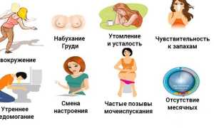 Почему случается задержка месячных, но нет беременности? Причины и советы