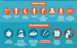 Как уберечься от гриппа и защитить себя от вируса
