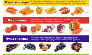 Антиоксиданты в продуктах питания для здоровья
