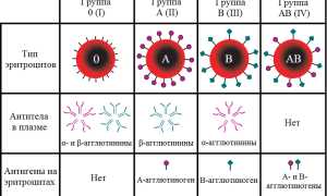 Какая группа крови лучше сопротивляется COVID-19 и почему?