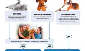 Можно ли заразиться глистами от другого человека и как защититься?