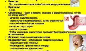 Желудочный грипп (острый гастроэнтерит): что это такое и как лечится, причины и профилактика