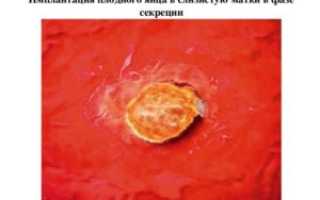Имплантация плодного яйца ощущения