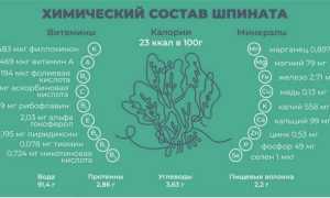 5 полезных свойств шпината для здоровья и благополучия