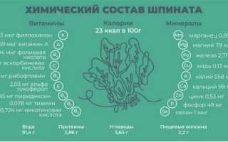 5 полезных свойств шпината для здоровья и благополучия