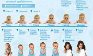 Какие прививки ставят детям до года? Полный обзор и рекомендации