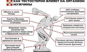 Низкий уровень тестостерона у мужчин: основные признаки и последствия