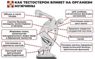 Низкий уровень тестостерона у мужчин: основные признаки и последствия