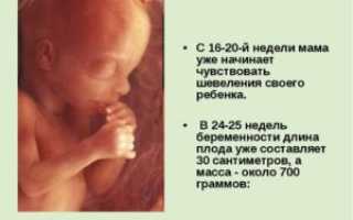 Шевеления когда можно почувствовать