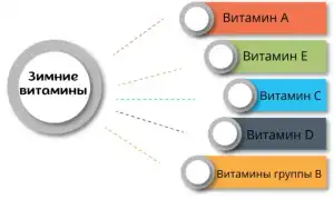 Витамины, которые необходимо принимать зимой, обзор и рекомендации