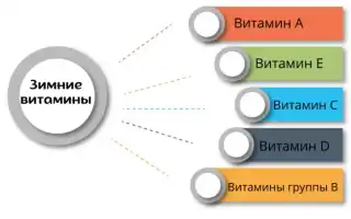 Витамины, которые необходимо принимать зимой, обзор и рекомендации