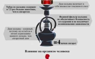 Насколько вреден кальян для здоровья: мифы и реальность