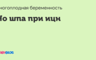 Но шпа при ицн