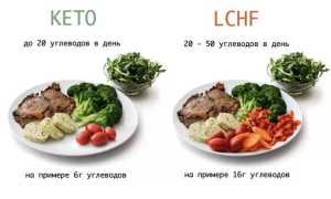 Как работает протокол питания LCHF, основные принципы и продукты для здоровья
