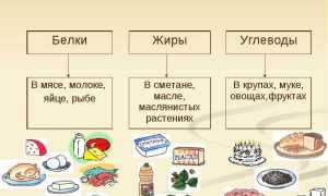 Сколько углеводов стоит есть в день для похудения и поддержания здоровья?