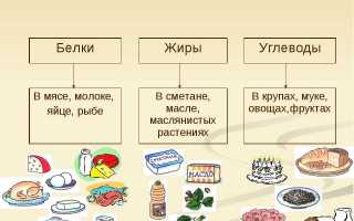 Сколько углеводов стоит есть в день для похудения и поддержания здоровья?