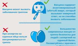 Против какого гриппа делают прививки сейчас, состав вакцин и их эффективность