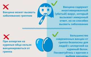 Против какого гриппа делают прививки сейчас, состав вакцин и их эффективность