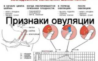 Во время овуляции кровяные выделения можно ли забеременеть