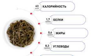 Чем полезна и вредна для здоровья морская капуста, факты о ней и её влияние на организм