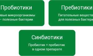 Пребиотик и пробиотик: что это такое, в чем отличия и как они работают?