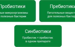 Пребиотик и пробиотик: что это такое, в чем отличия и как они работают?