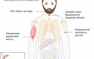Повышенный уровень тестостерона у мужчин — это плохо для здоровья?