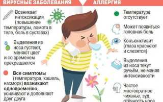 Отличия аллергии от простуды: симптомы и признаки, важные для здоровья
