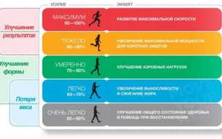 Какой пульс при беге считается нормальным для здоровья?