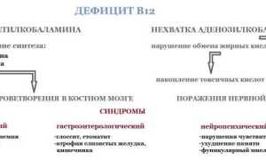 Нехватка витамина Б12: причины и последствия