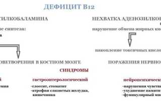 Нехватка витамина Б12: причины и последствия