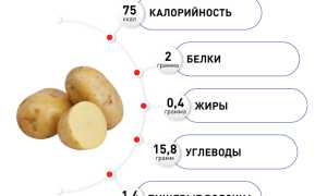 Полезен ли картофель? 9 эффектов от употребления картофеля для здоровья