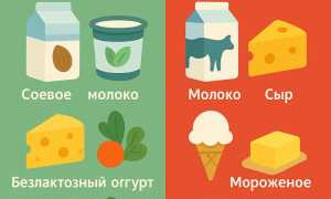 Диета без лактозы: Продукты, которые следует есть и которых следует избегать для здоровья