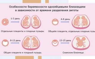 Как понять, что у вас двойня на раннем сроке беременности. Основные признаки и советы