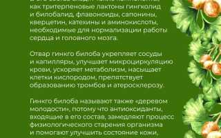 Польза гинкго билоба для профилактики тромбоза после COVID-19: важные аспекты