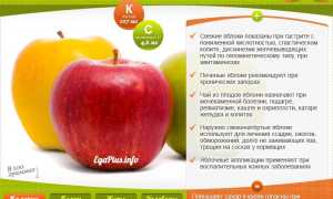 9 полезных свойств яблок, которые проверены наукой для здоровья