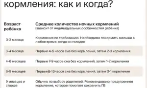 Можно ли кормить ребенка по ночам? Советы и рекомендации