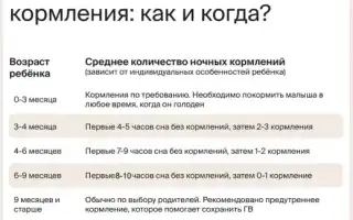 Можно ли кормить ребенка по ночам? Советы и рекомендации