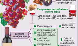 Полезно ли пить красное вино для здоровья?