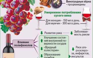 Полезно ли пить красное вино для здоровья?