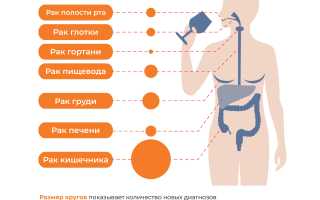 Вызывает ли алкоголь рак? Влияние на здоровье
