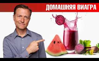 Виагра из арбуза. Помогает ли он при эректильной дисфункции и как использовать?