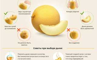 Как проверить дыню на нитраты? 6 признаков, на которые нужно обратить внимание перед покупкой